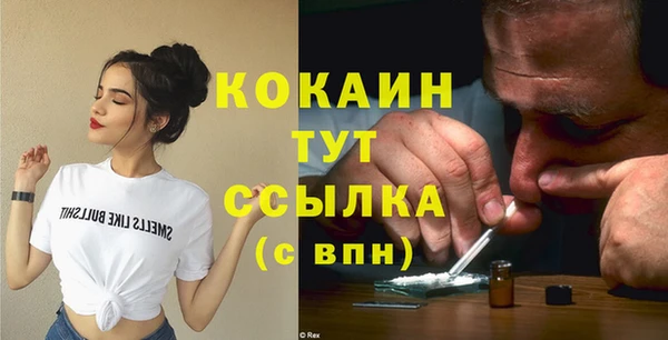 молекула духа Богородицк