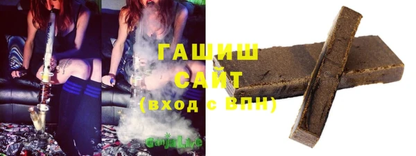 молекула духа Богородицк