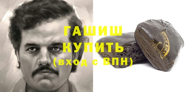 молекула духа Богородицк