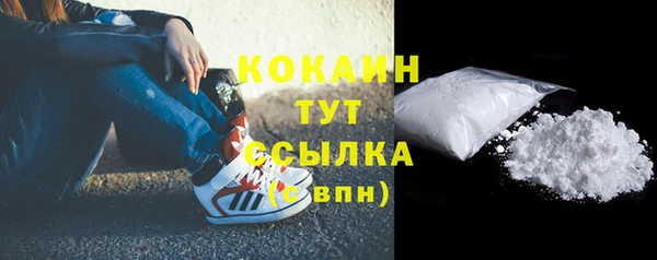 гидропоника Богданович