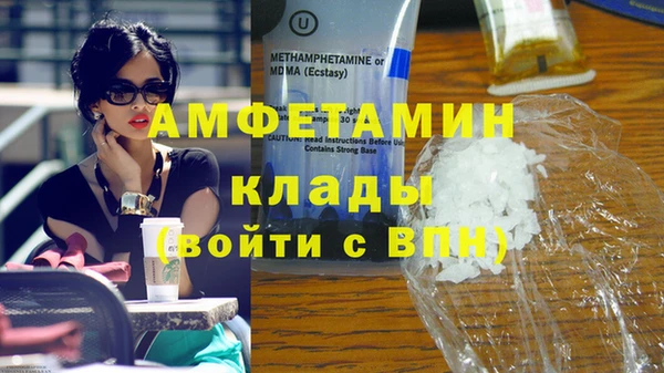 молекула духа Богородицк
