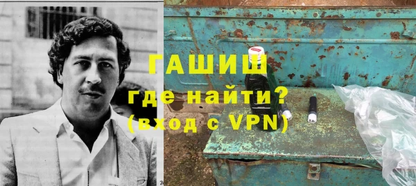 молекула духа Богородицк