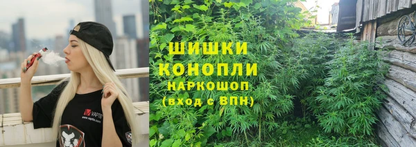 молекула духа Богородицк