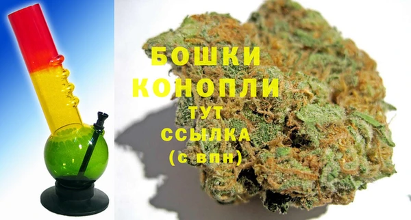 гидропоника Богданович