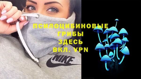 молекула духа Богородицк