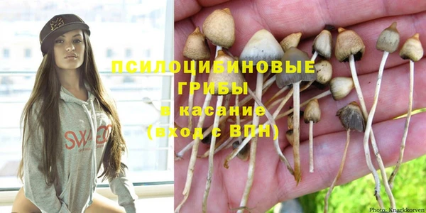 гидропоника Богданович