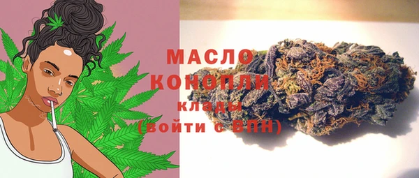 молекула духа Богородицк