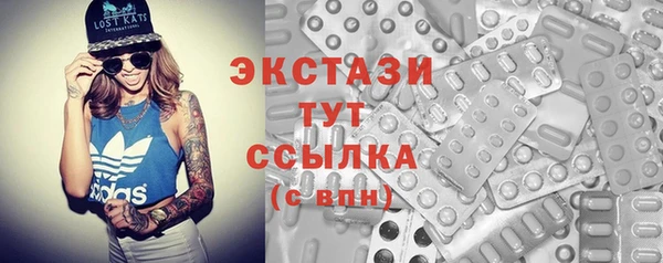 молекула духа Богородицк