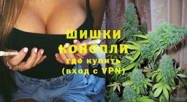 гидропоника Богданович
