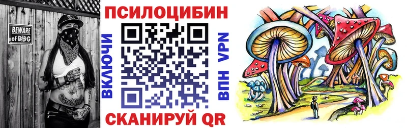 Псилоцибиновые грибы GOLDEN TEACHER  купить закладку  Новокузнецк 